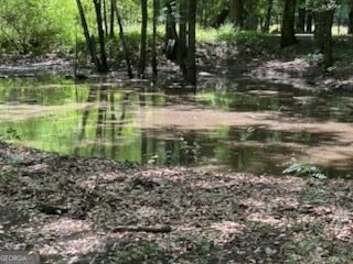 154 Sasser Road Leesburg - 8