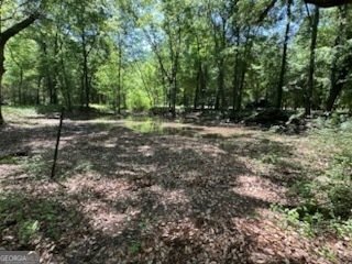 154 Sasser Road Leesburg - 9