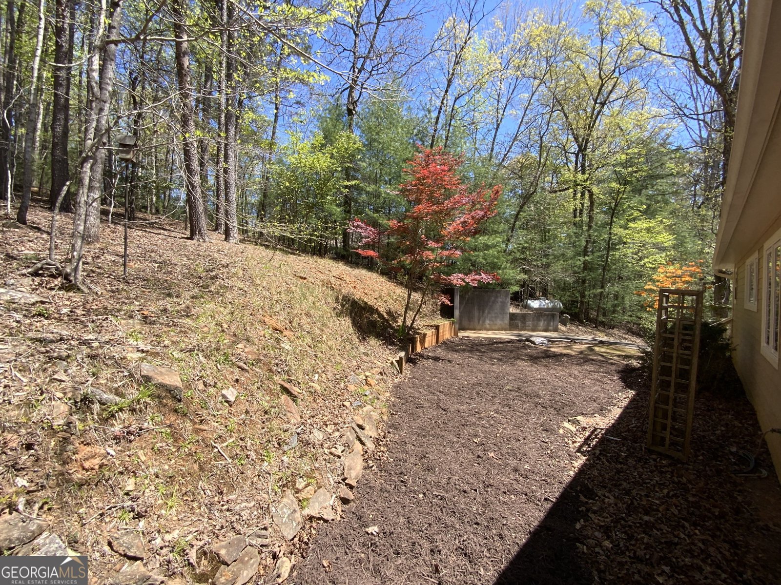 522 Satsuma Court Ellijay - 15