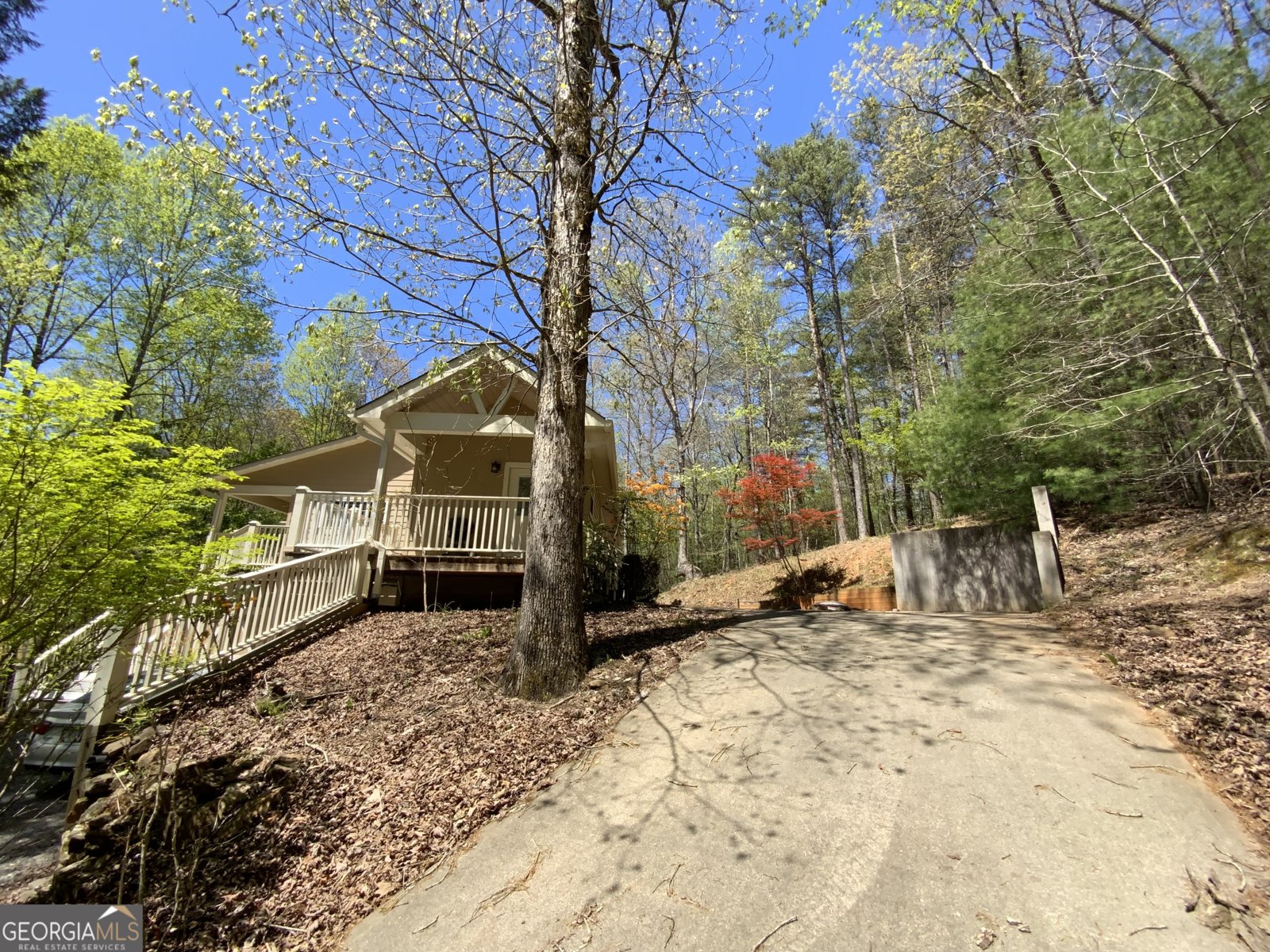 522 Satsuma Court Ellijay - 20