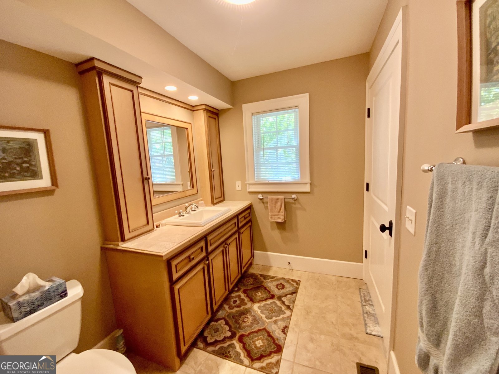 522 Satsuma Court Ellijay - 9