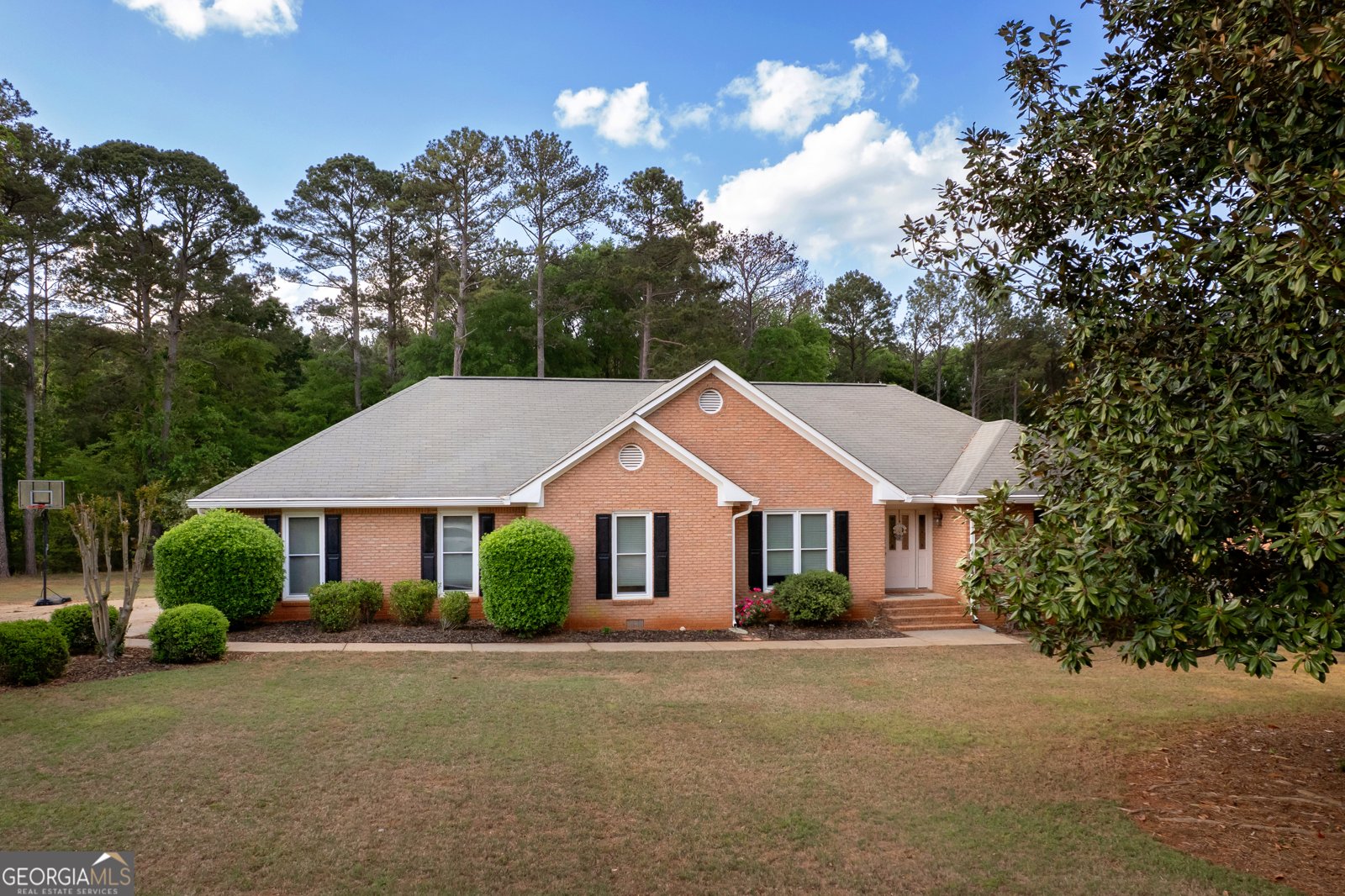 1030 Lakehaven Way McDonough - 2