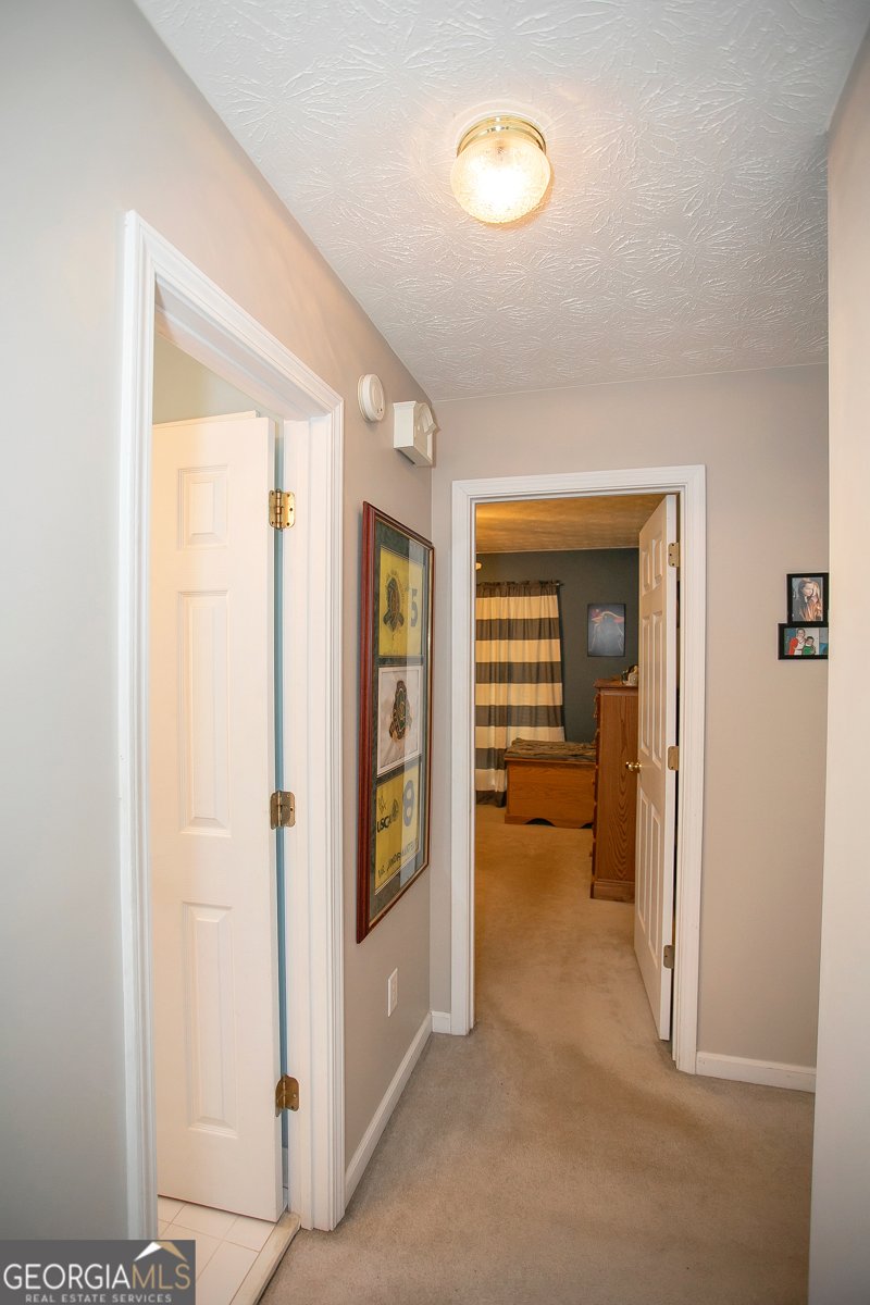 1030 Lakehaven Way McDonough - 29