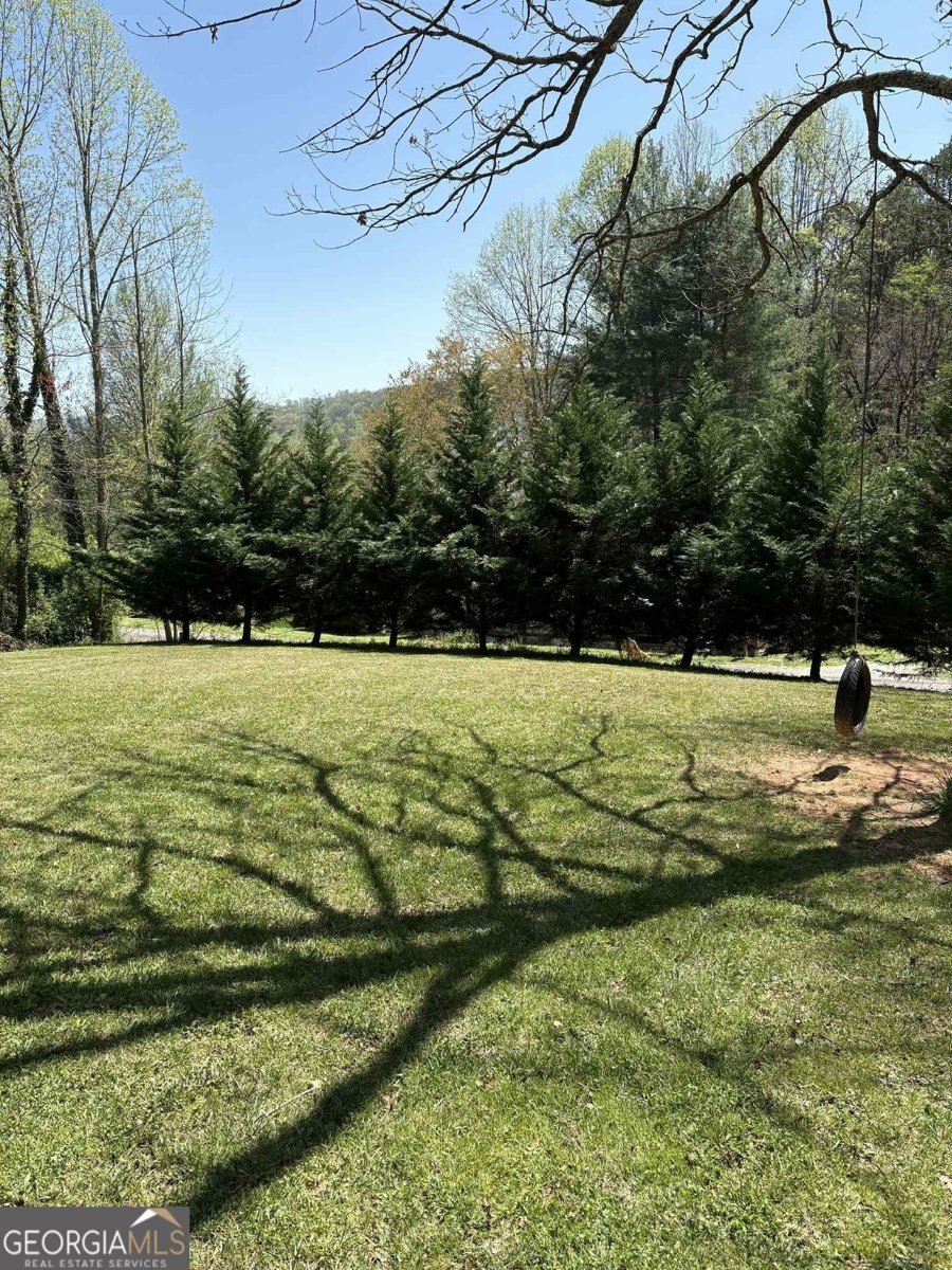 78 Nowhere Road Blairsville - 14