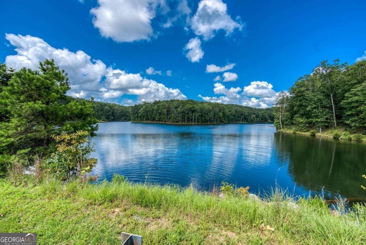 637 Little Bear Loop Canton - 42