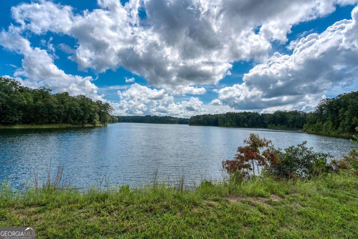 637 Little Bear Loop Canton - 43