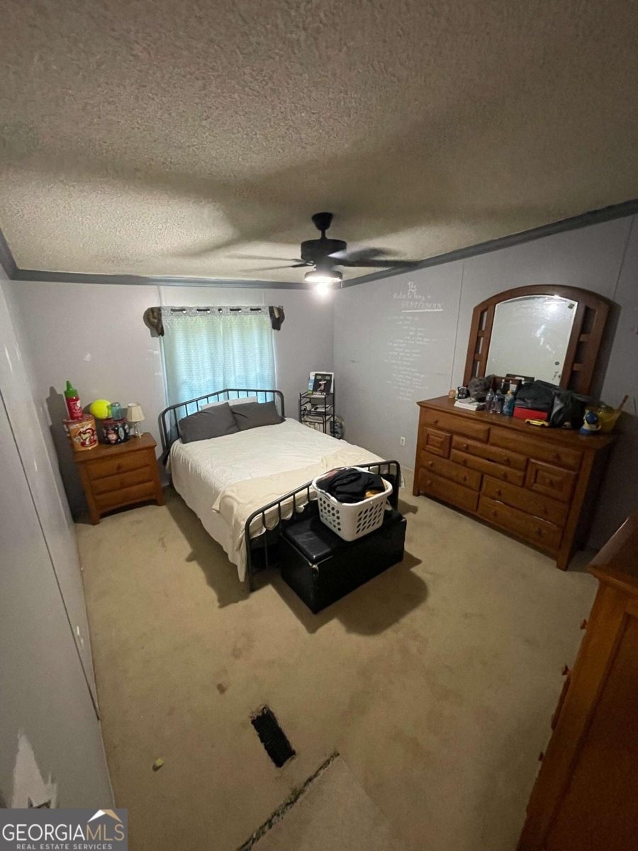 6650 GEORGE Court Cumming - 13