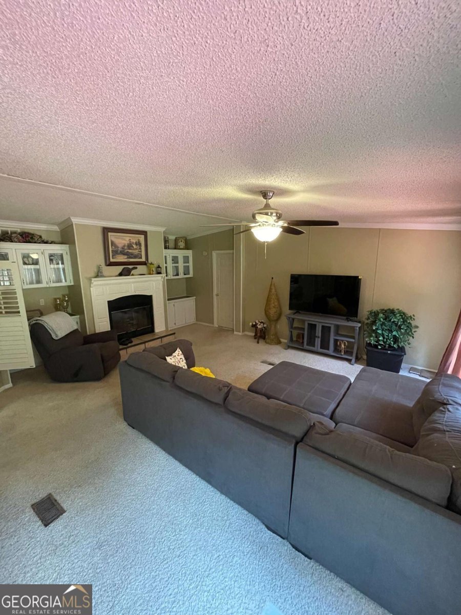 6650 GEORGE Court Cumming - 3