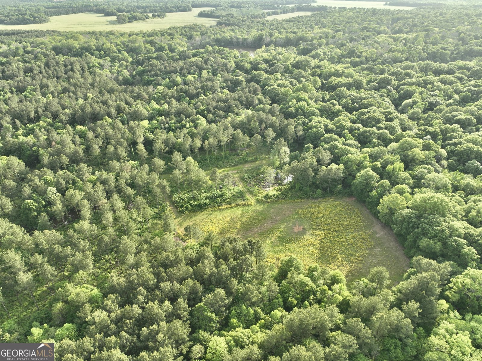 54 Lodge Ground Lane Hawkinsville - 95