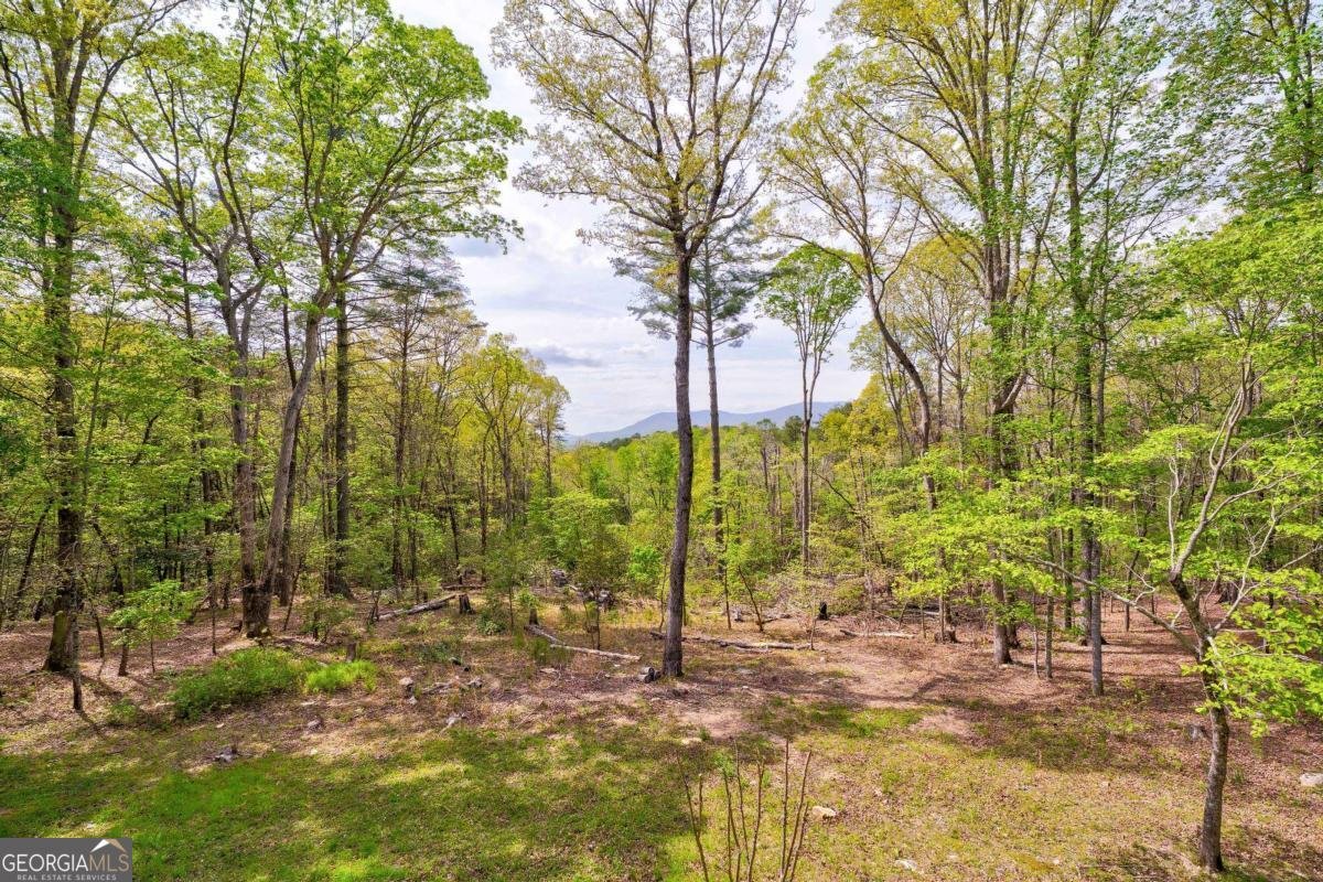 361 Rising Star Road Ellijay - 34