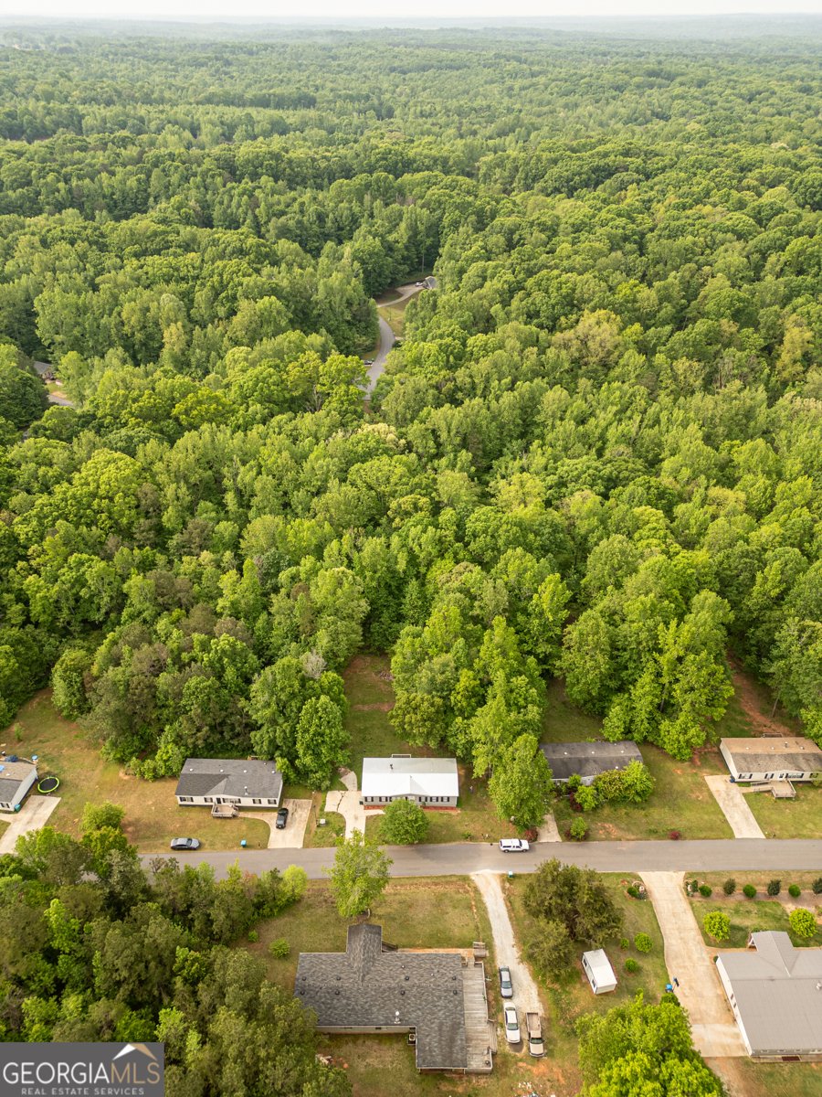 193 Pine Ridge Place Nicholson - 31