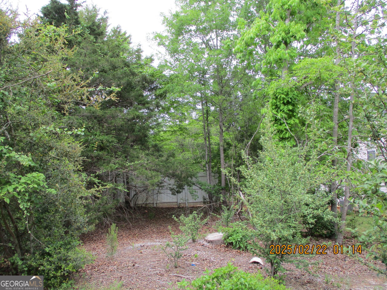 440 Wood Lane Athens - 5