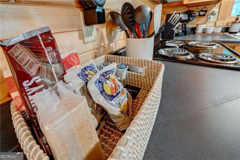 46 Floral Court Ellijay - 10