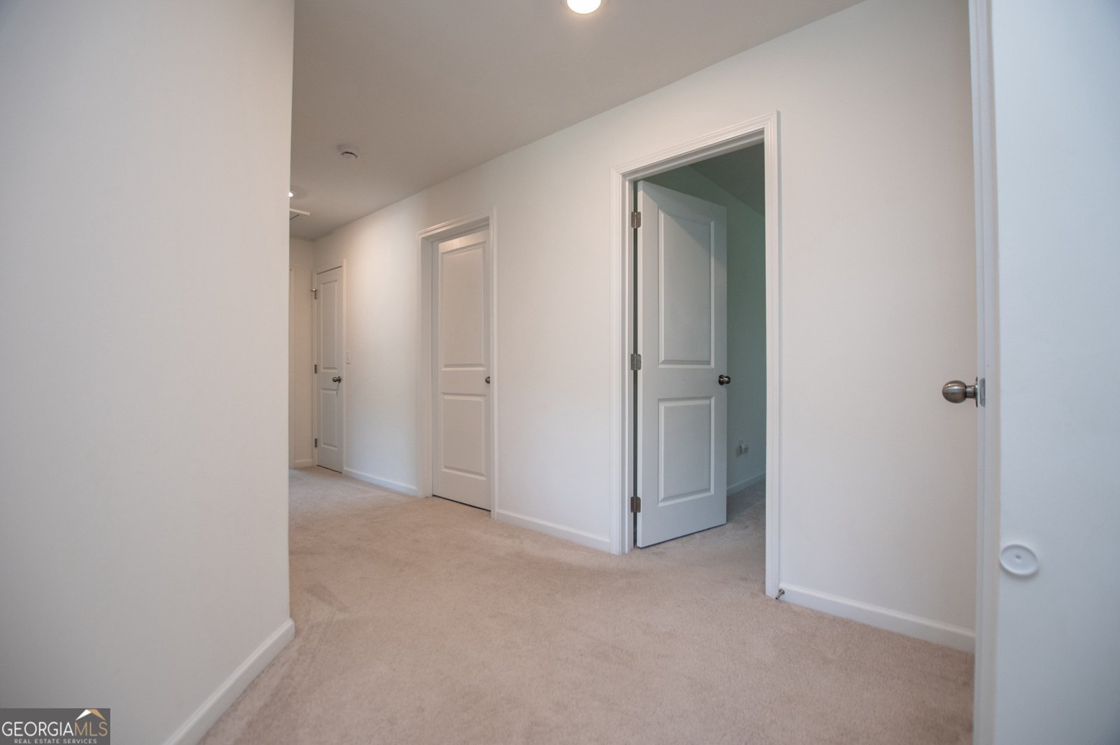 194 Rivulet Drive Dallas - 28
