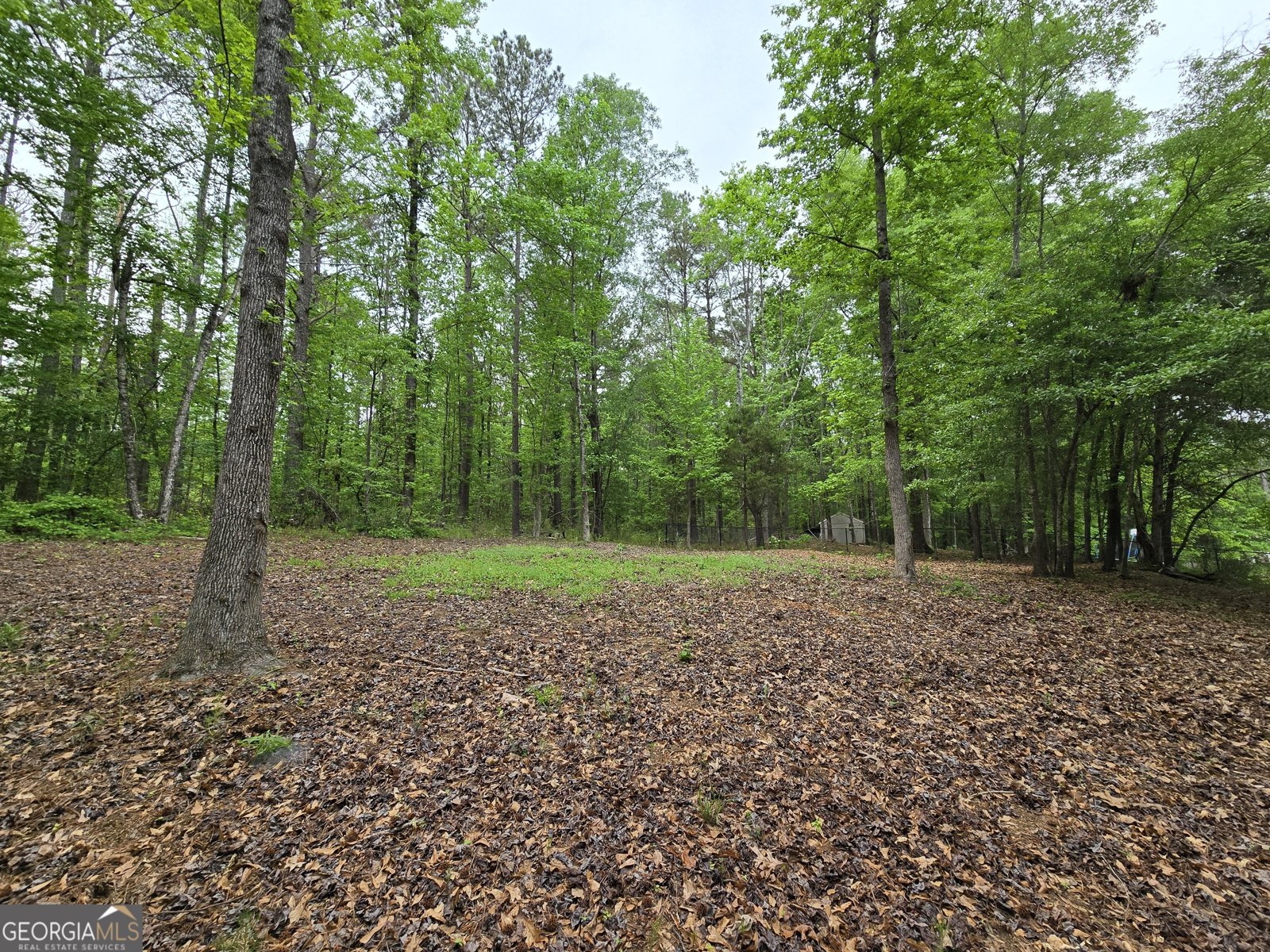 563 Deadwood Trail Locust Grove - 41