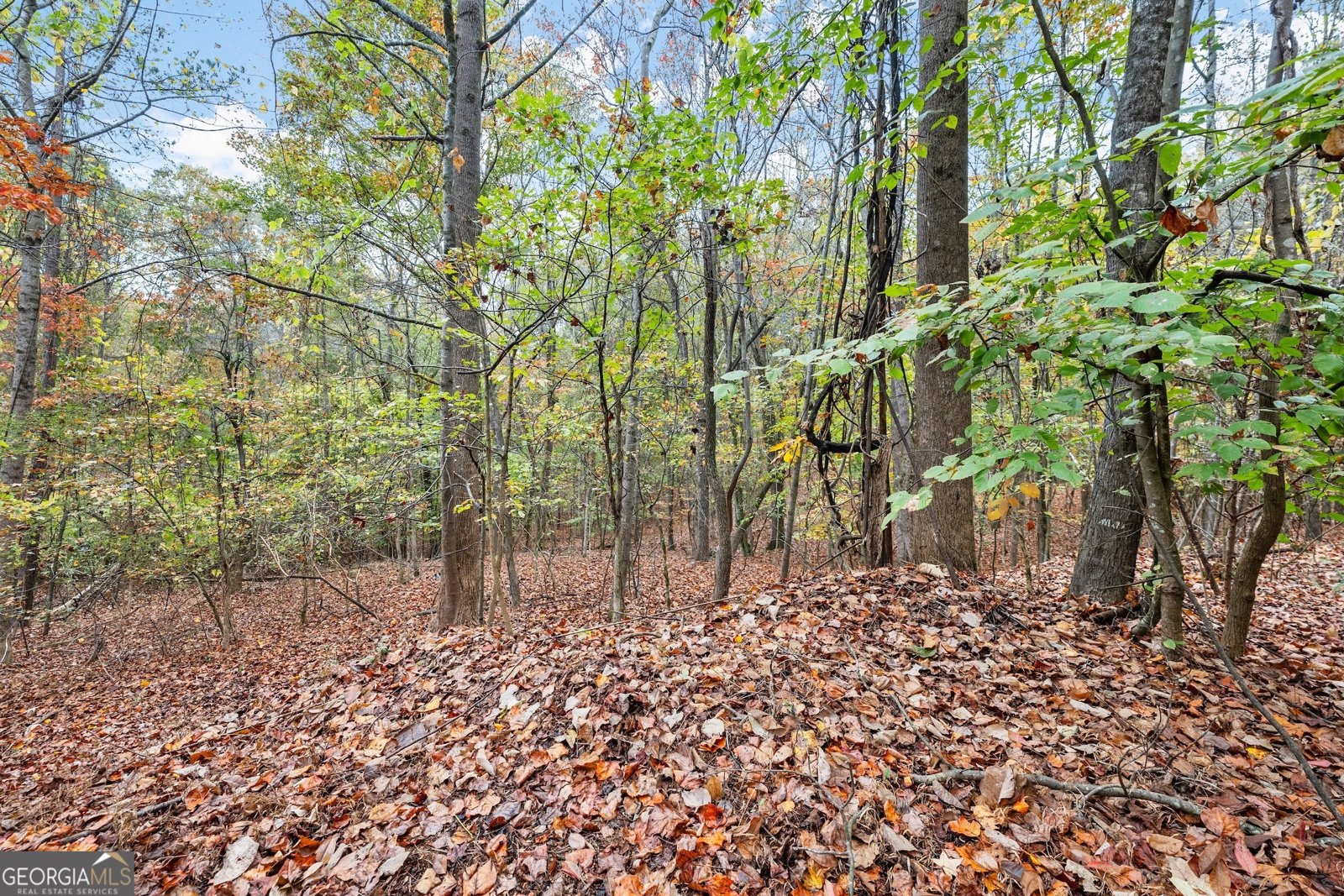 4701 Cleveland Highway Gainesville - 46
