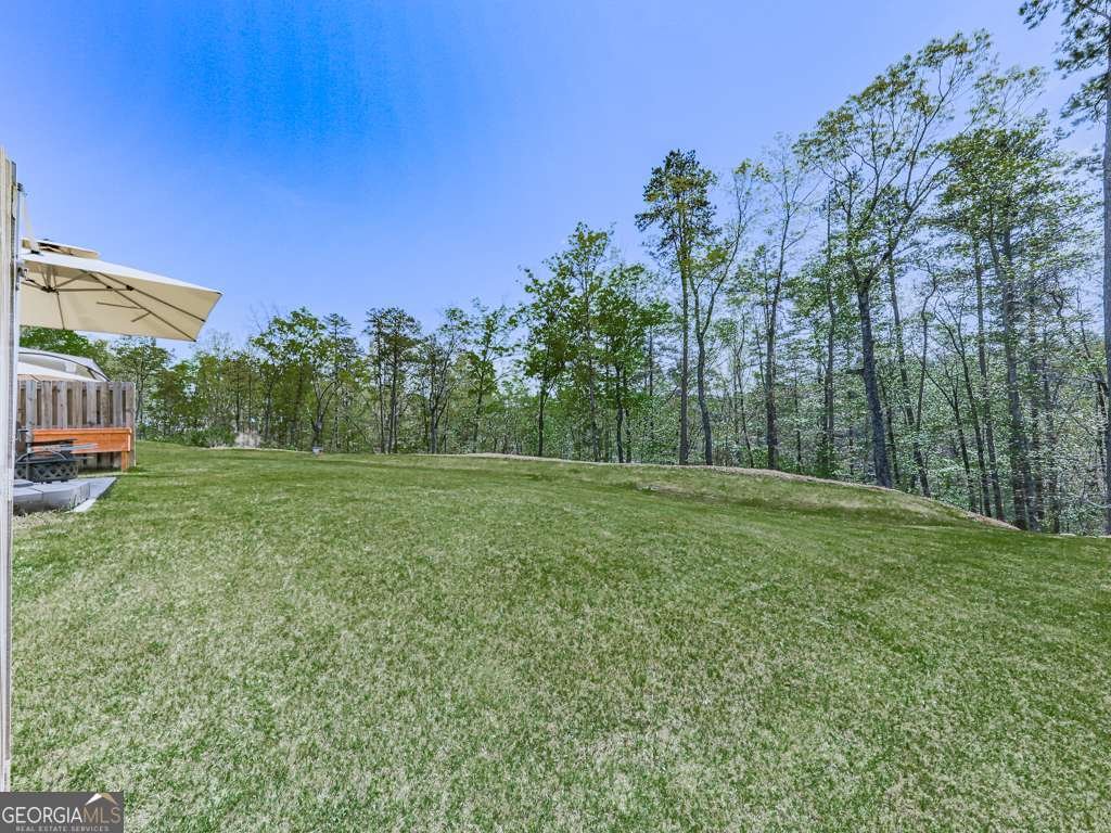 397 Lakeside Court Canton - 30