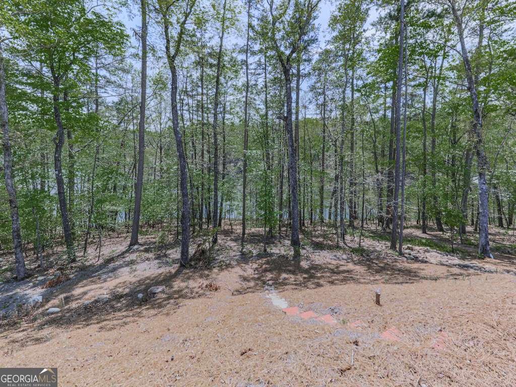 397 Lakeside Court Canton - 37