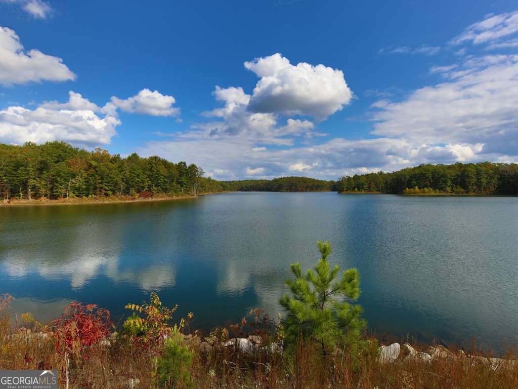 397 Lakeside Court Canton - 44