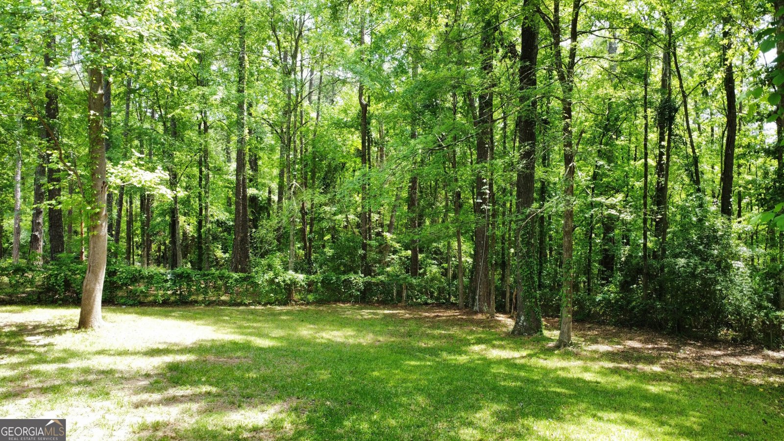 2045 Greentree Parkway Macon - 28