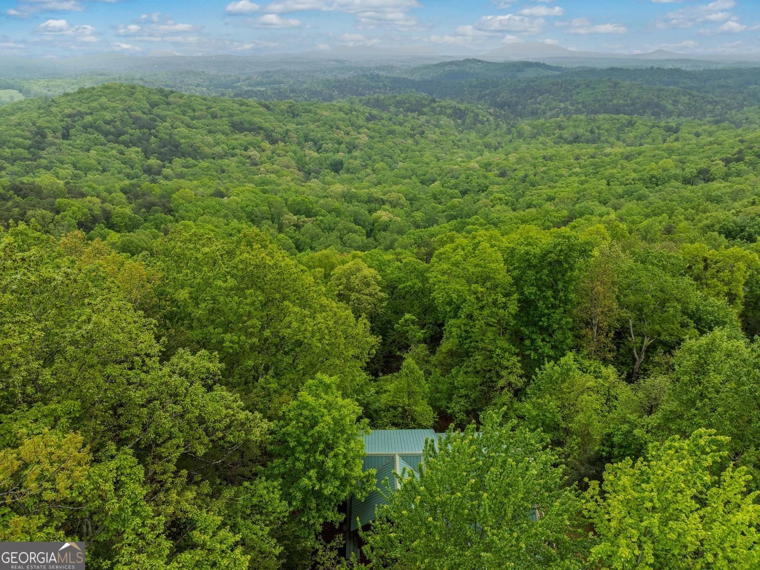 399 Ranch Mountain Drive Dahlonega - 42
