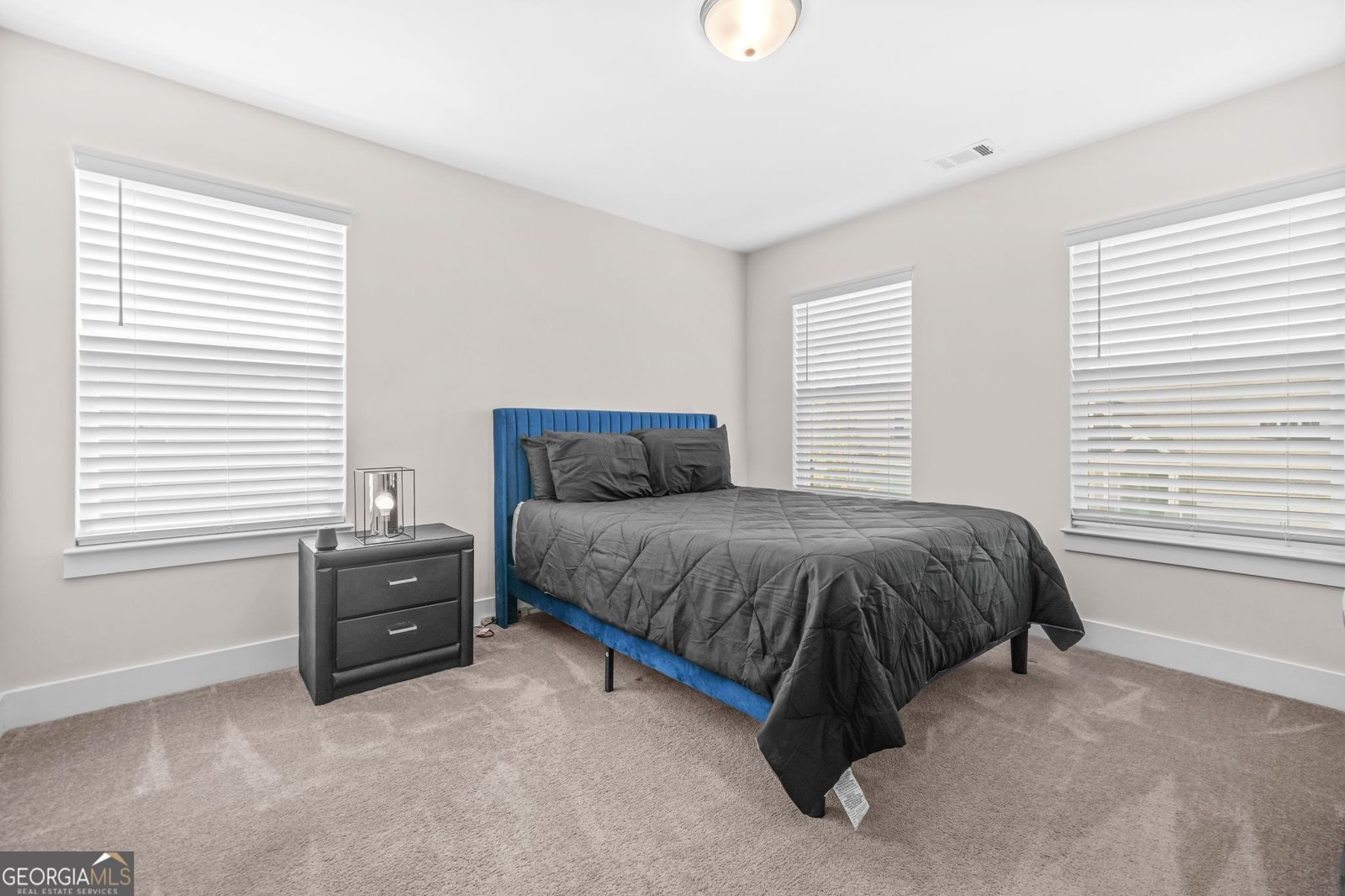 351 Boundless Lane Canton - 36