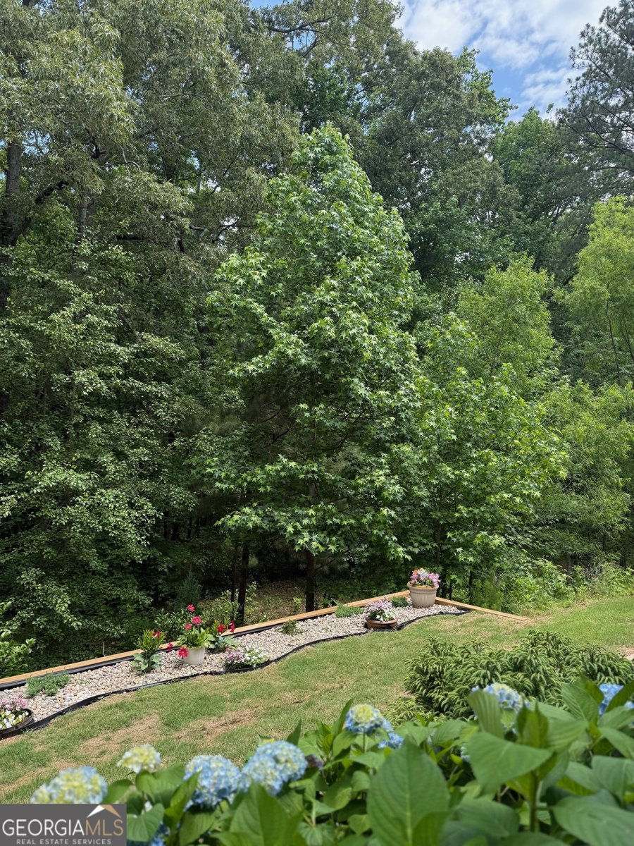 1635 Hampton Oaks Drive Alpharetta - 28