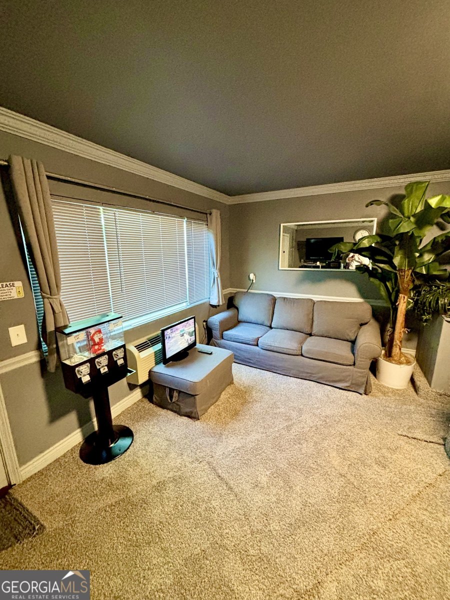 165 Vine Street Athens - 6