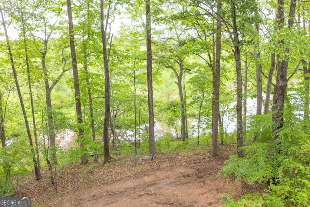 1190 Foster Road Statham - 41