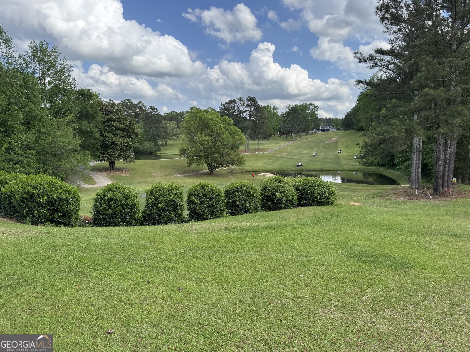 1323 Fairway Drive Elberton - 33
