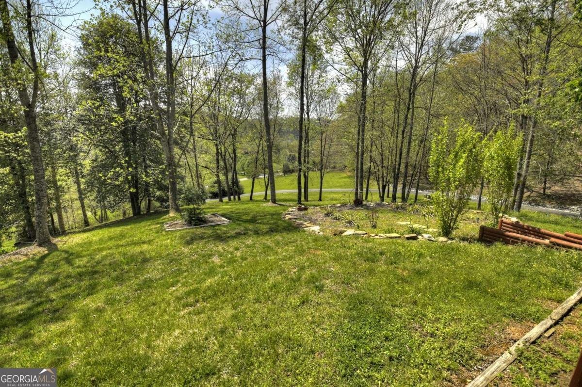 256 Bailey Farm Lane Mineral Bluff - 43