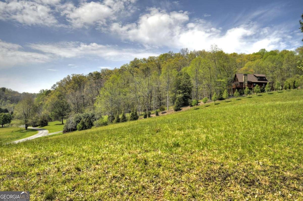256 Bailey Farm Lane Mineral Bluff - 44