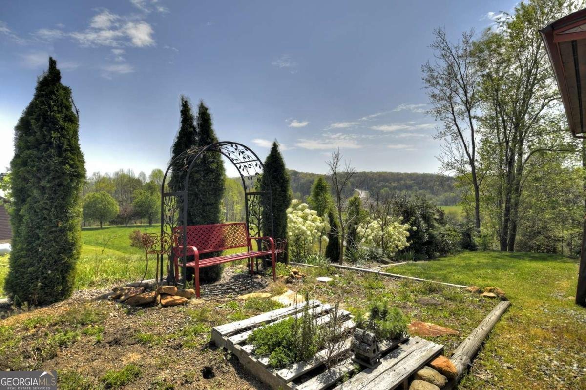 256 Bailey Farm Lane Mineral Bluff - 48
