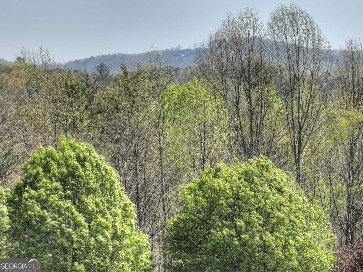 256 Bailey Farm Lane Mineral Bluff - 54