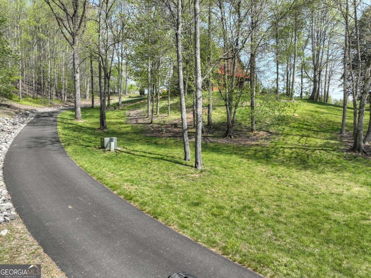 256 Bailey Farm Lane Mineral Bluff - 59