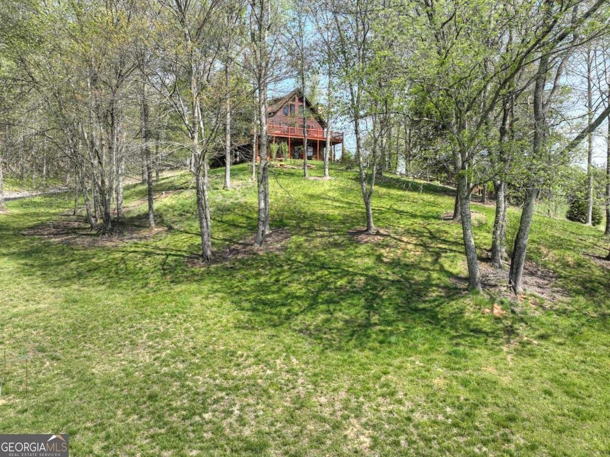 256 Bailey Farm Lane Mineral Bluff - 60