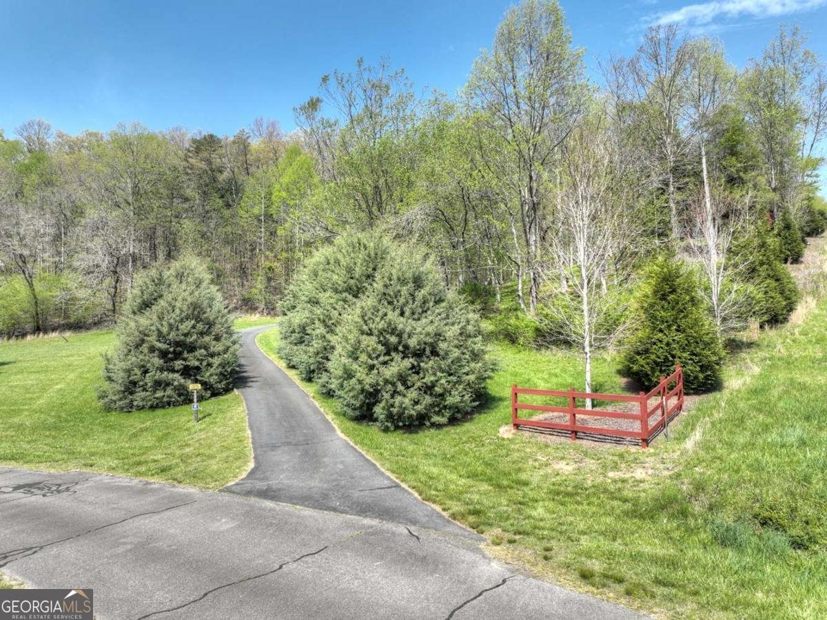 256 Bailey Farm Lane Mineral Bluff - 64