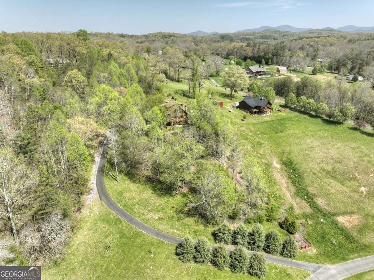 256 Bailey Farm Lane Mineral Bluff - 66