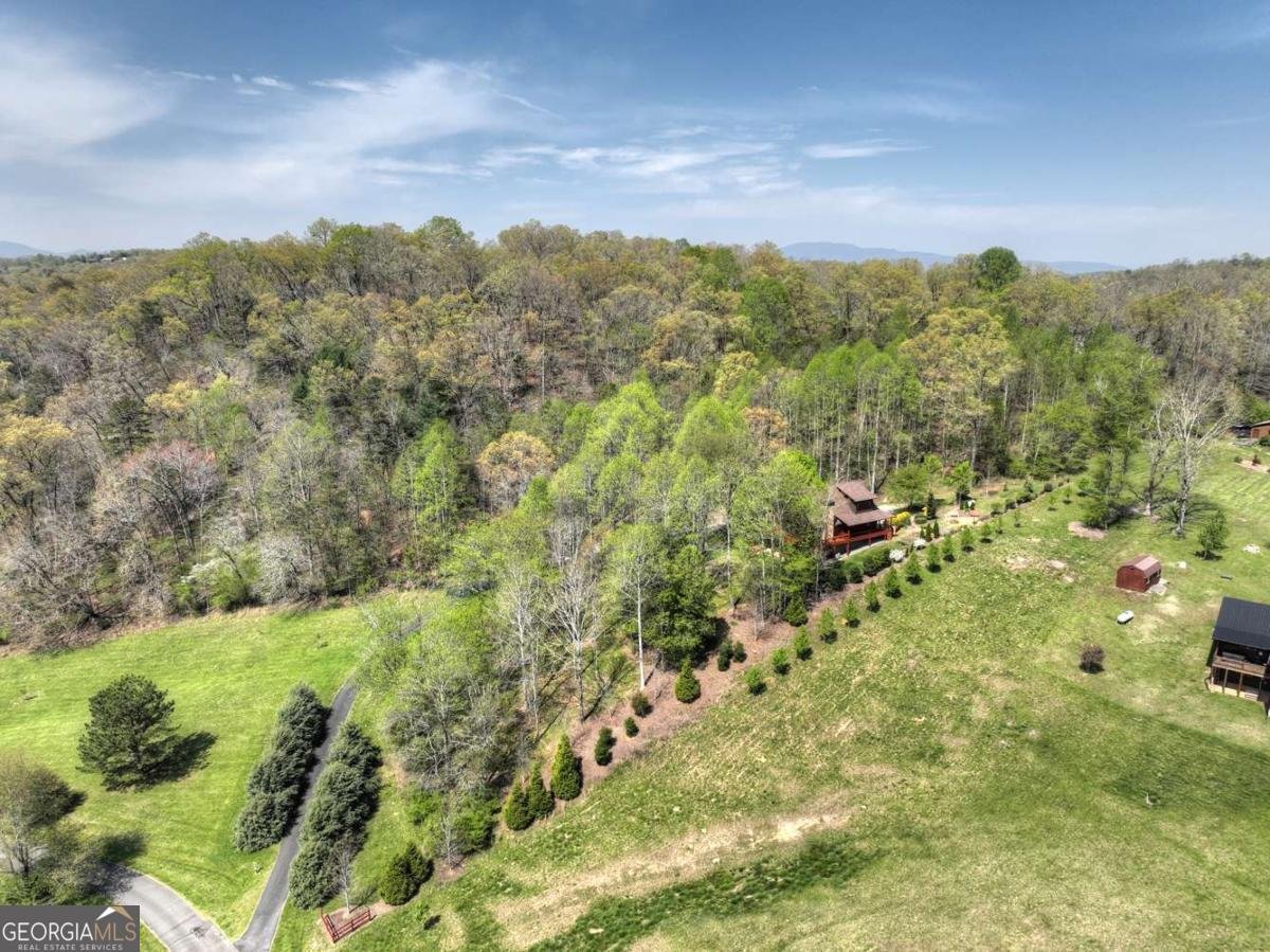 256 Bailey Farm Lane Mineral Bluff - 67