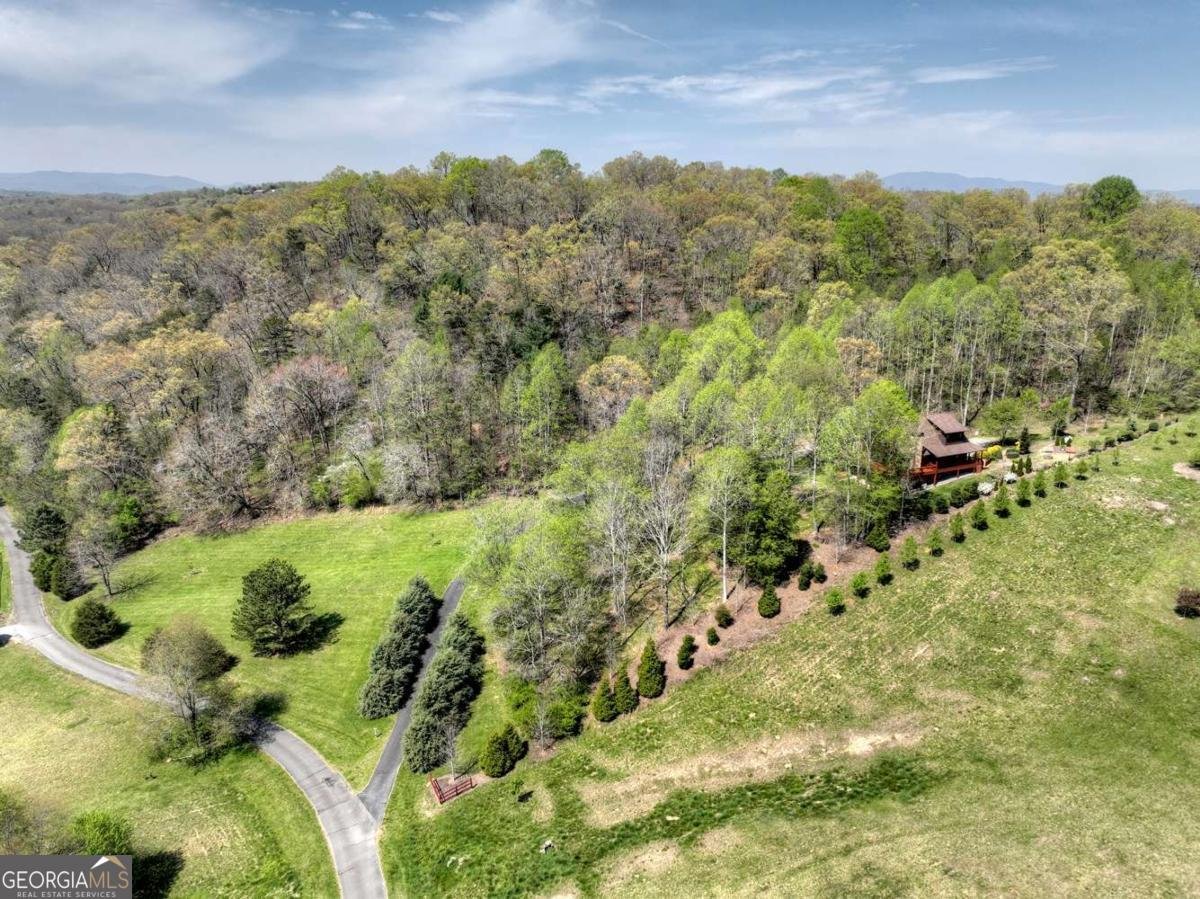 256 Bailey Farm Lane Mineral Bluff - 68