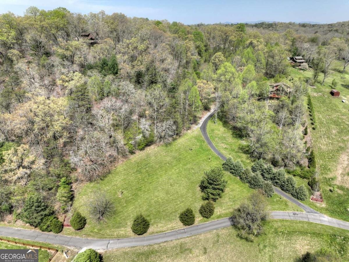 256 Bailey Farm Lane Mineral Bluff - 69