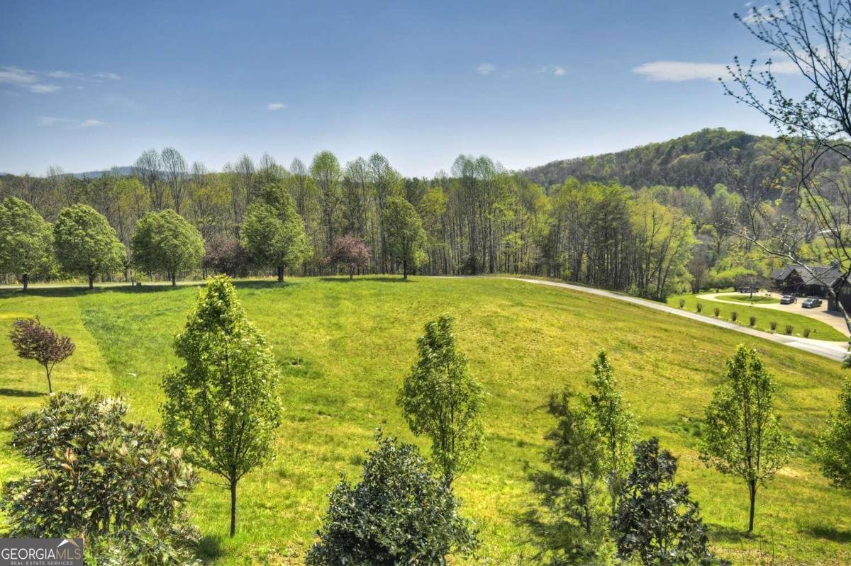 256 Bailey Farm Lane Mineral Bluff - 9