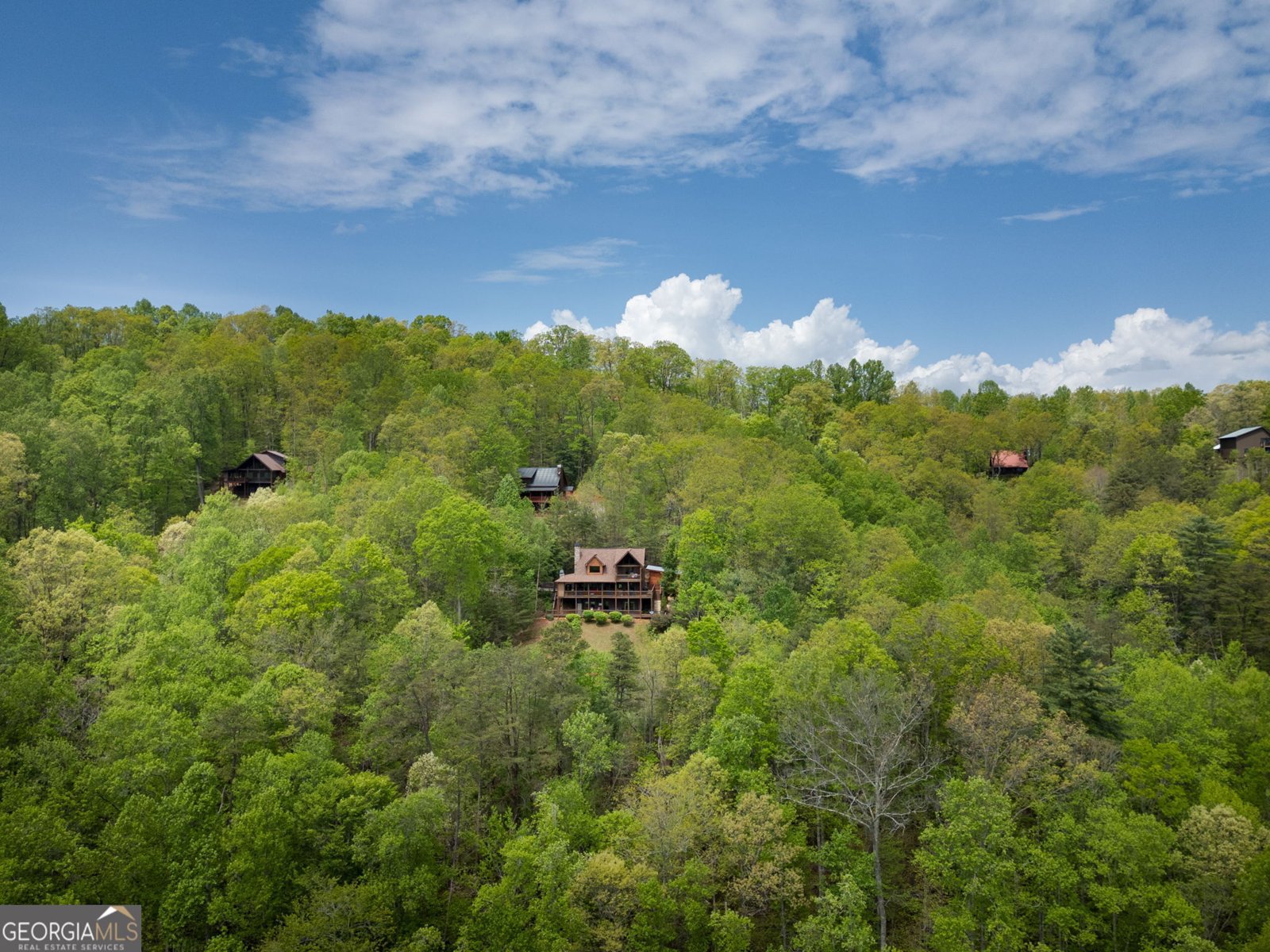 940 Whispering Lake Drive Blue Ridge - 67