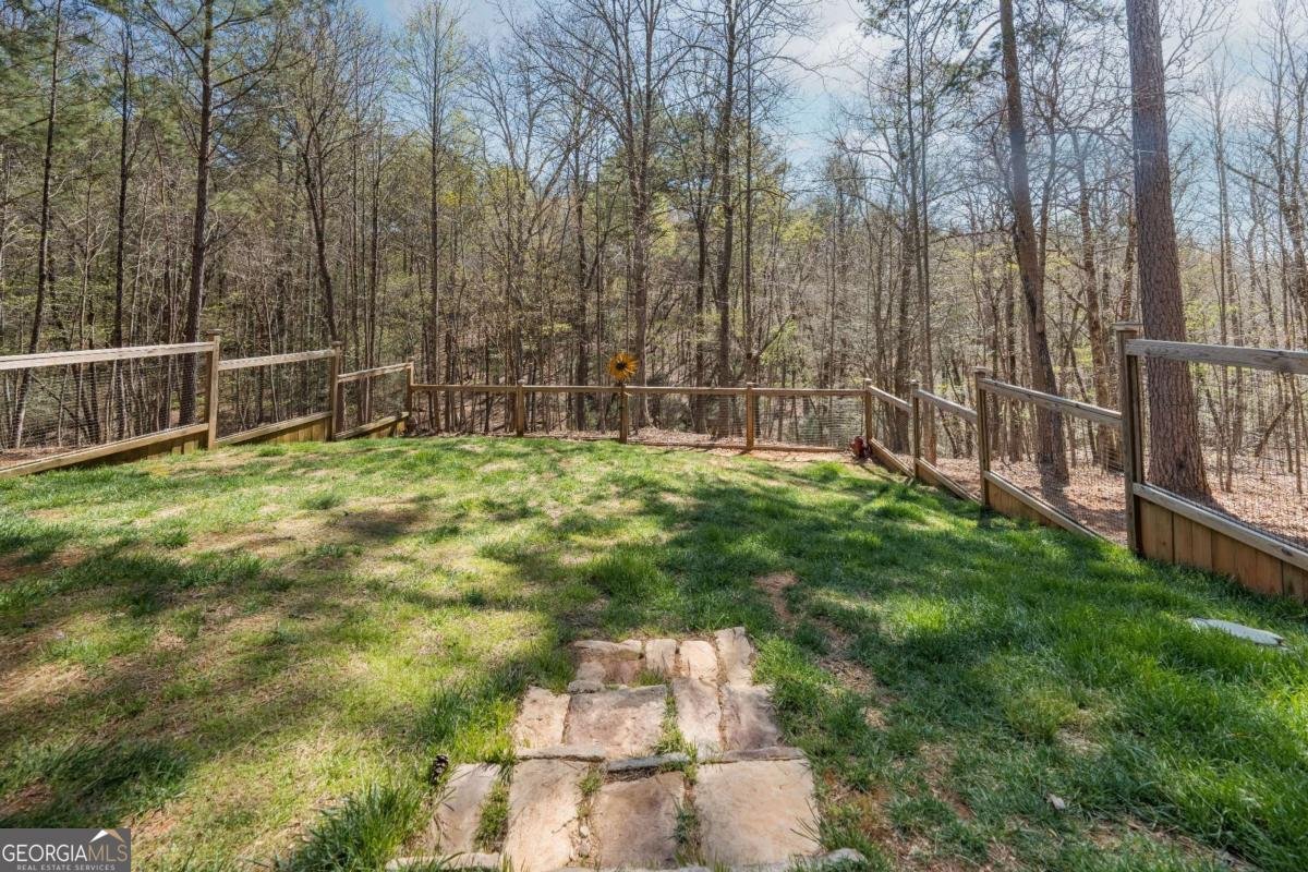 161 Windy Valley Trail Blue Ridge - 42