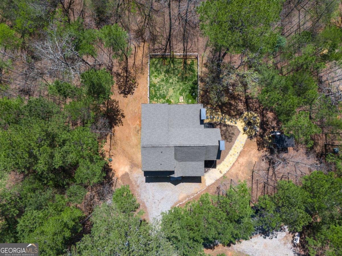 161 Windy Valley Trail Blue Ridge - 50