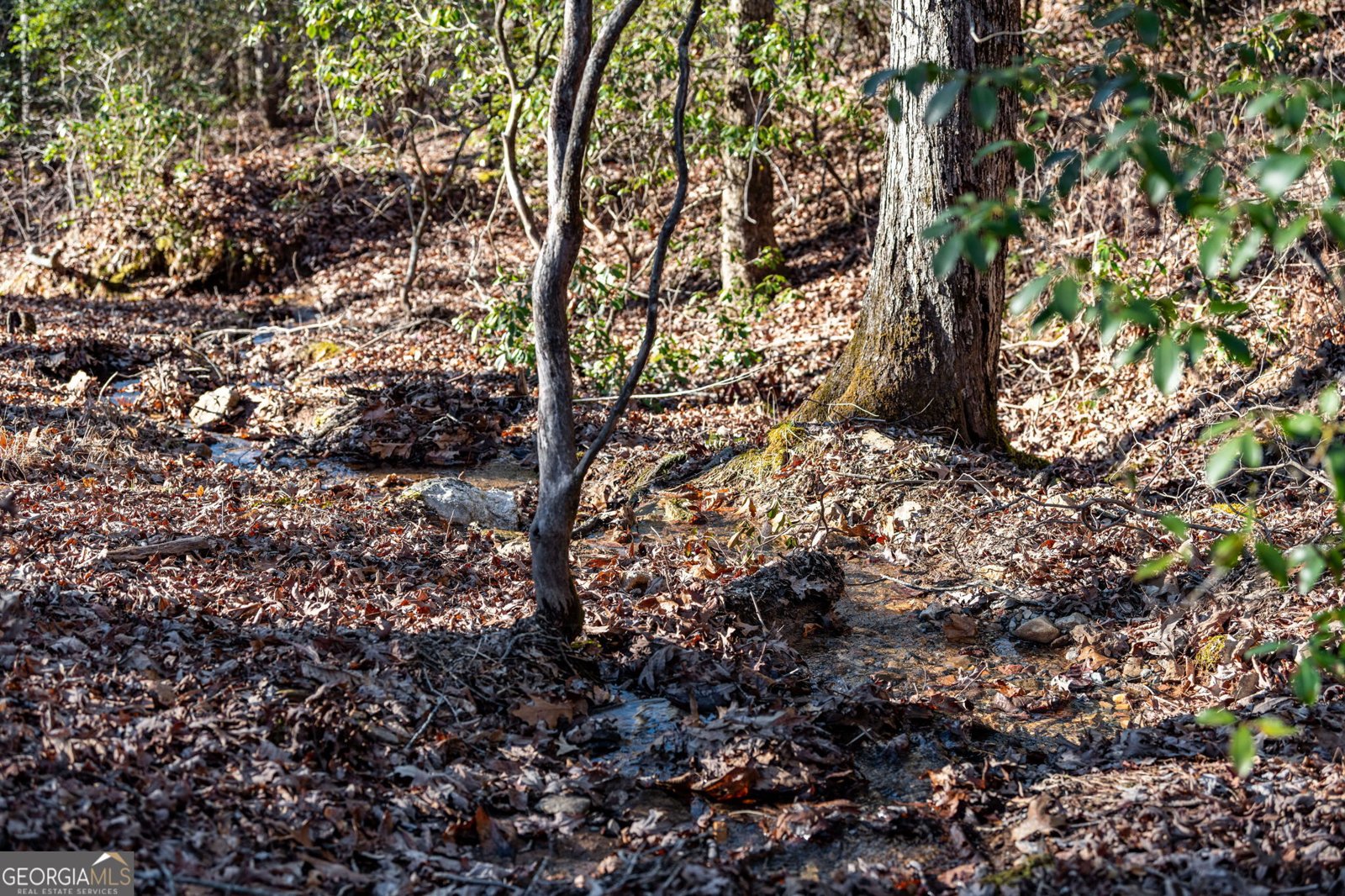 30 The Forest Road Blue Ridge - 80