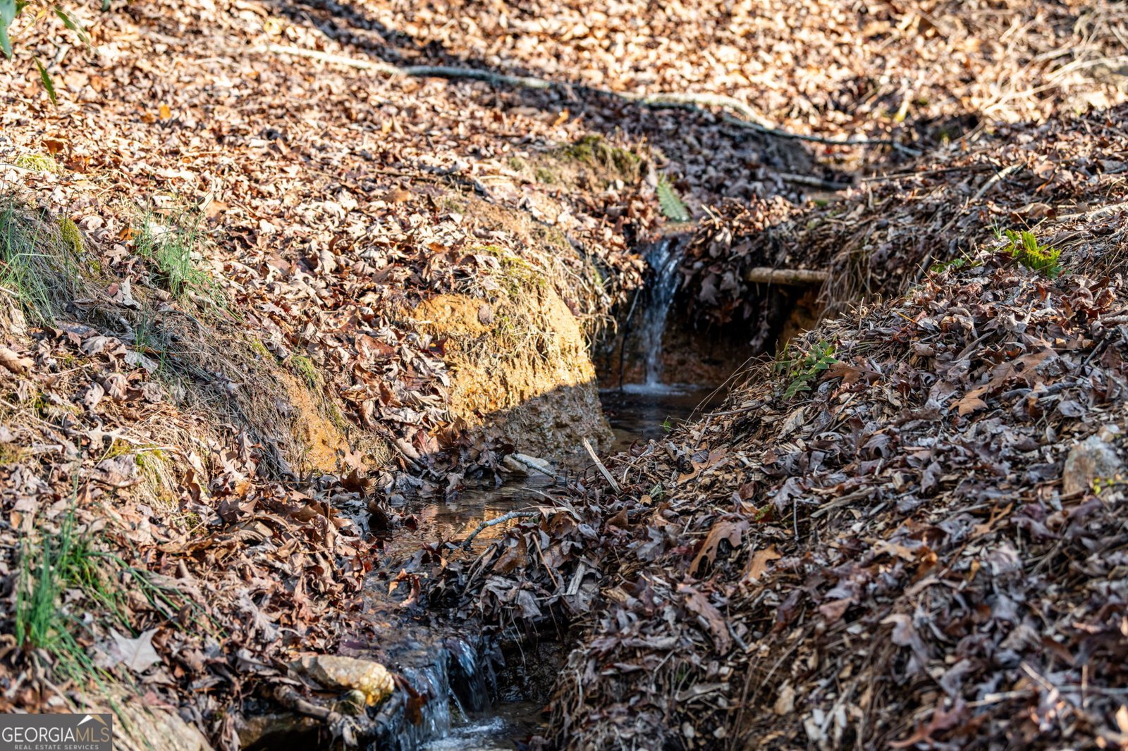 30 The Forest Road Blue Ridge - 81