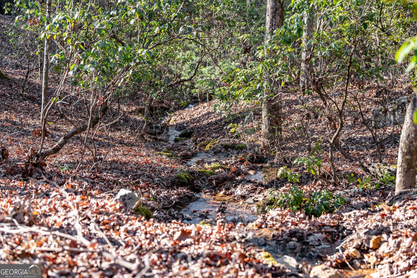 30 The Forest Road Blue Ridge - 82