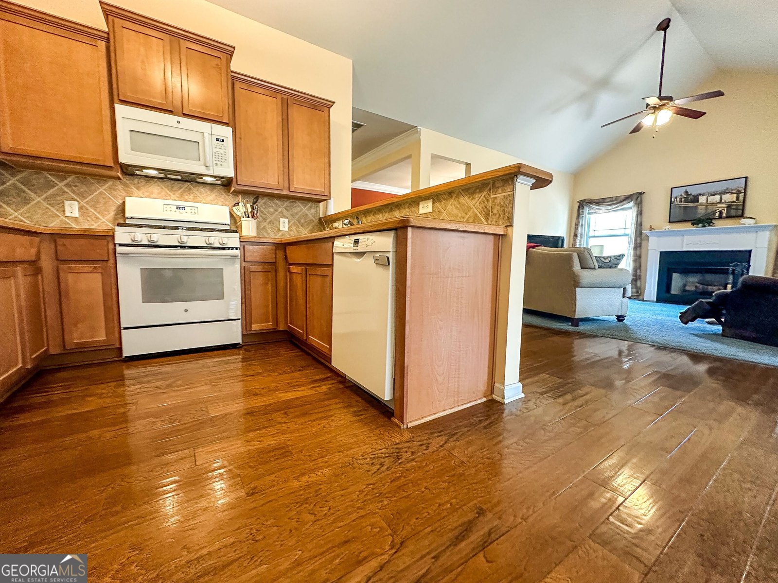 261 Potomac Drive Dallas - 24