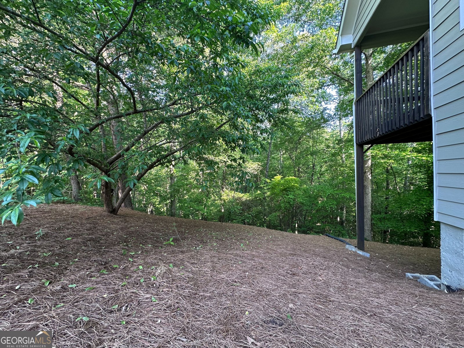 261 Potomac Drive Dallas - 45